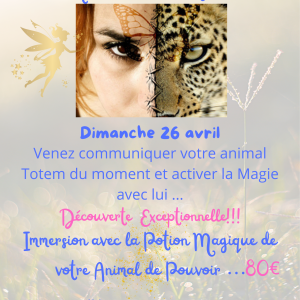 Atelier animal Totem