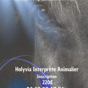 Stage communication Animale